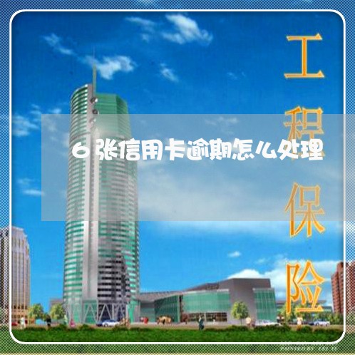 6张信用卡逾期怎么处理/2023040148582