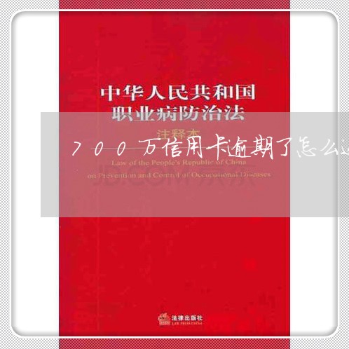 700万信用卡逾期了怎么还/2023110169482