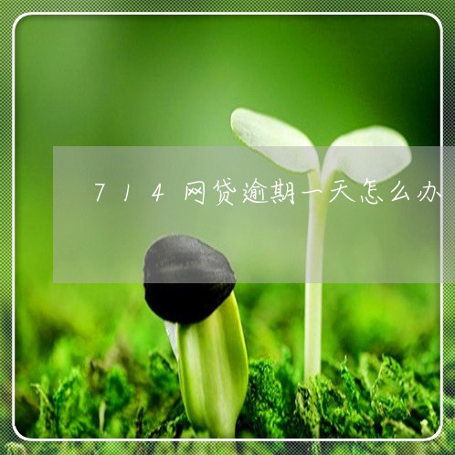 714网贷逾期一天怎么办
