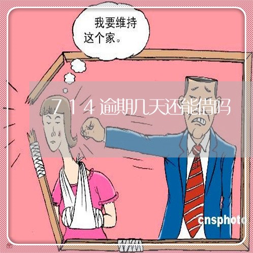 714逾期几天还能借吗