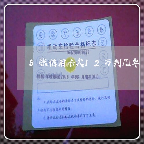 8张信用卡欠12万判几年