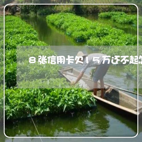 8张信用卡欠15万还不起怎么办 8张信用卡欠15万还不起怎么办