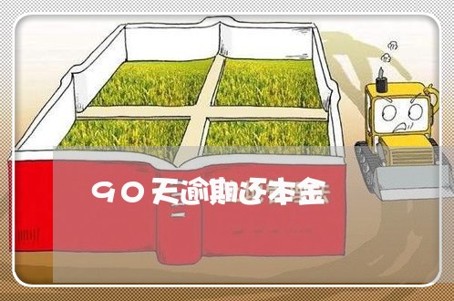 90天逾期还本金 90天逾期还本金