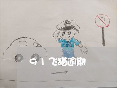 91飞猫逾期