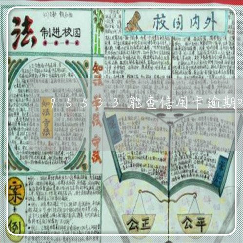 95533能查信用卡逾期吗