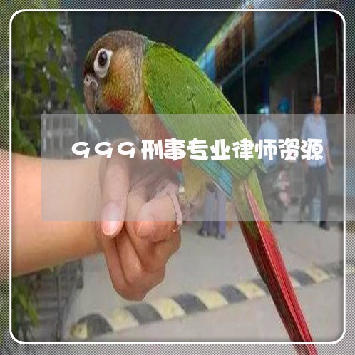 999刑事专业律师资源