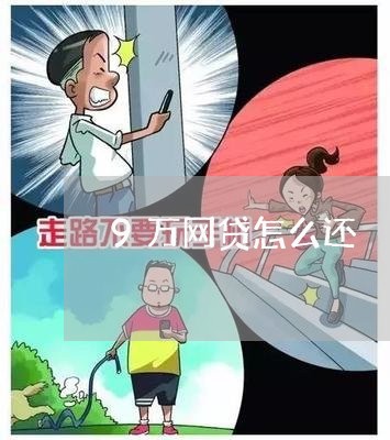 9万网贷怎么还/2023092859260