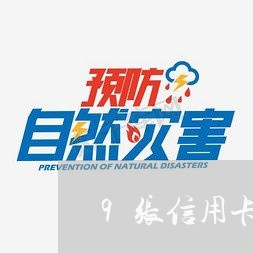 9张信用卡欠100万/2023012925037