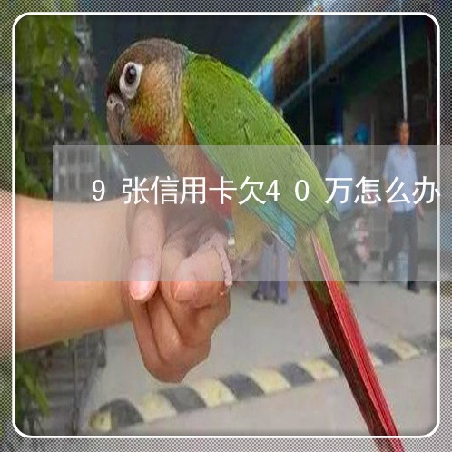 9张信用卡欠40万怎么办 9张信用卡欠40万怎么办