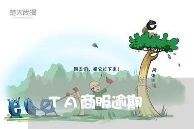 TA商服逾期 TA商服逾期