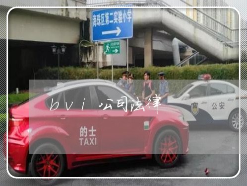 bvi公司法律