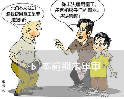 b本逾期未年审 b本逾期未年审