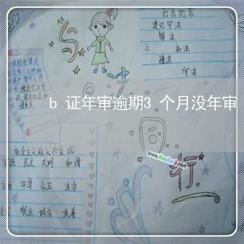 b证年审逾期3个月没年审 b证年审逾期3个月没年审
