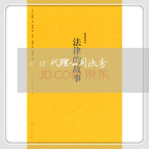 ca代理公司法务 ca代理公司法务