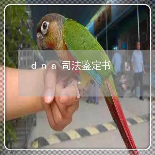 dna司法鉴定书