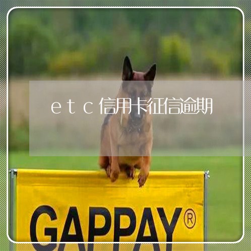 etc信用卡征信逾期/2023061762505