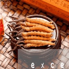 excel计算逾期月份 excel计算逾期月份