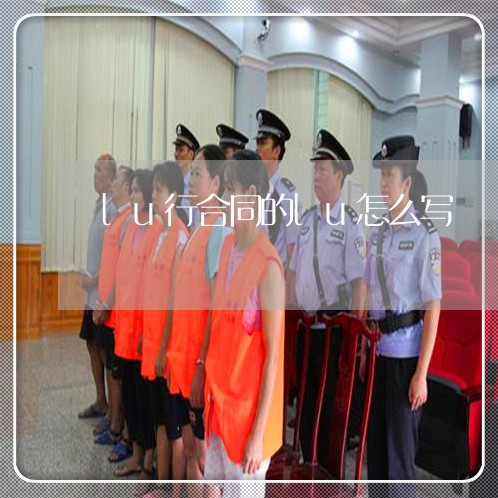 lu行合同的lu怎么写/2023022769604 lu行合同的lu怎么写/2023022769604