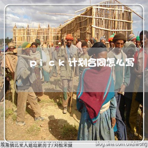 pick计划合同怎么写