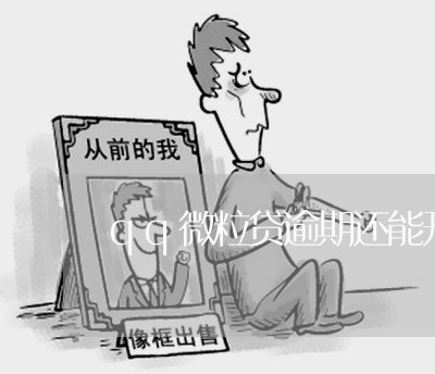 qq微粒贷逾期还能开吗/2023061941713