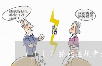 r117轮胎法规中文版