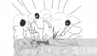 sulfox湿法制酸技术简介