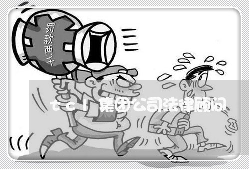 tcl集团公司法律顾问 tcl集团公司法律顾问