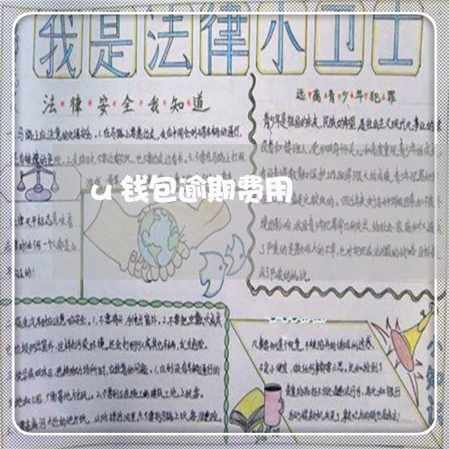 u钱包逾期费用 u钱包逾期费用