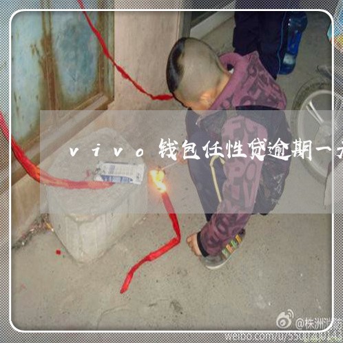 vivo钱包任性贷逾期一天没还 vivo钱包任性贷逾期一天没还