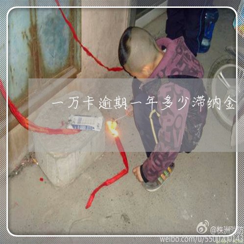 一万卡逾期一年多少滞纳金 一万卡逾期一年多少滞纳金