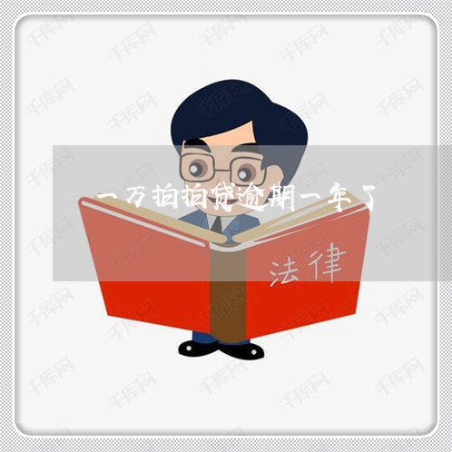 一万拍拍贷逾期一年了 一万拍拍贷逾期一年了