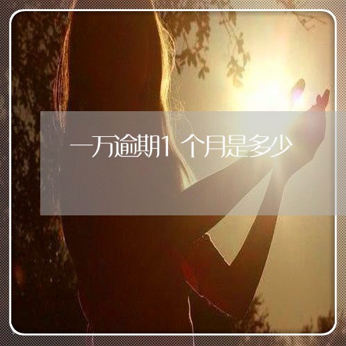 一万逾期1个月是多少 一万逾期1个月是多少