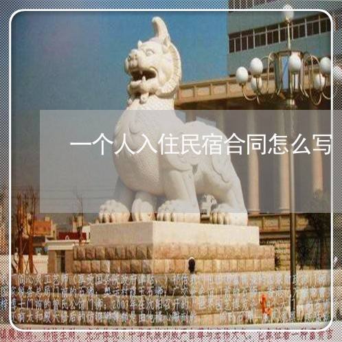 一个人入住民宿合同怎么写/2023061636259