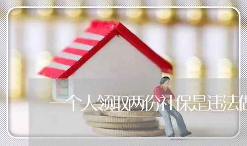 一个人领取两份社保是违法做法吗