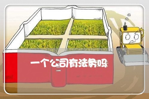 一个公司有法务吗