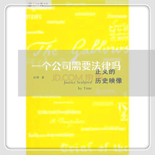 一个公司需要法律吗 一个公司需要法律吗