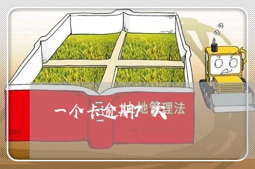 一个卡逾期7次