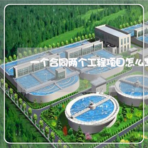 一个合同两个工程项目怎么写/2023061606938