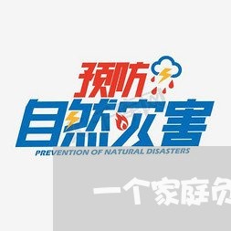 一个家庭负债100万怎么办/2023100827059