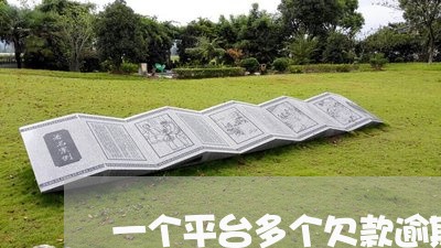 一个平台多个欠款逾期 一个平台多个欠款逾期