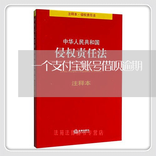 一个支付宝账号借呗逾期/2023030137268