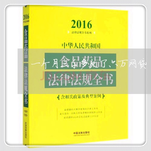 一个月三千多欠了六万网贷 一个月三千多欠了六万网贷