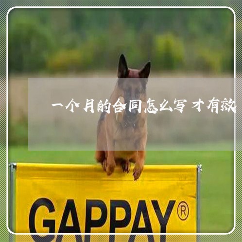 一个月的合同怎么写才有效/2023061640591