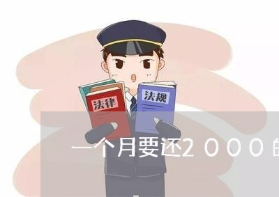 一个月要还2000的网贷/2023111835156