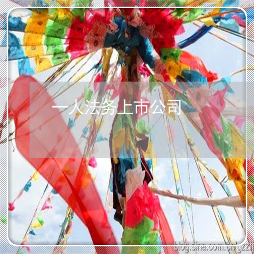 一人法务上市公司 一人法务上市公司