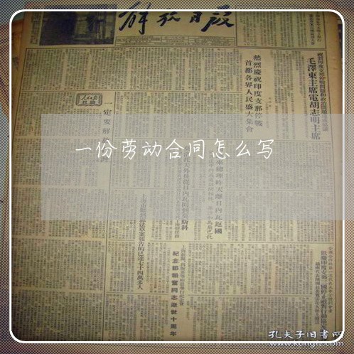 一份劳动合同怎么写/2023041492794 一份劳动合同怎么写/2023041492794