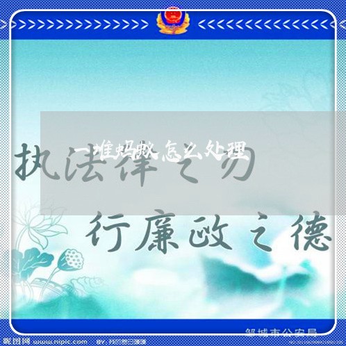 一堆蚂蚁怎么处理/2023022774935 一堆蚂蚁怎么处理/2023022774935