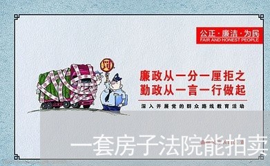 一套房子法院能拍卖吗