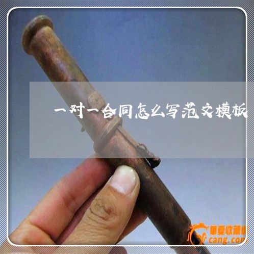 一对一合同怎么写范文模板/2023061563614