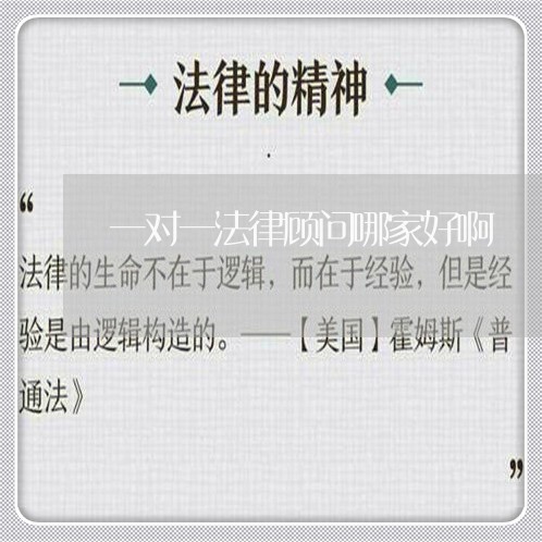 一对一法律顾问哪家好啊